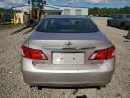 LEXUS ES 350 photo