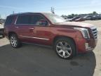 Lot #3022788303 2016 CADILLAC ESCALADE P