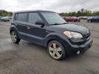 KIA SOUL + photo