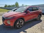 2020 HYUNDAI SANTA FE L - 5NMS53AA3LH169159