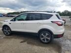 FORD ESCAPE SEL photo