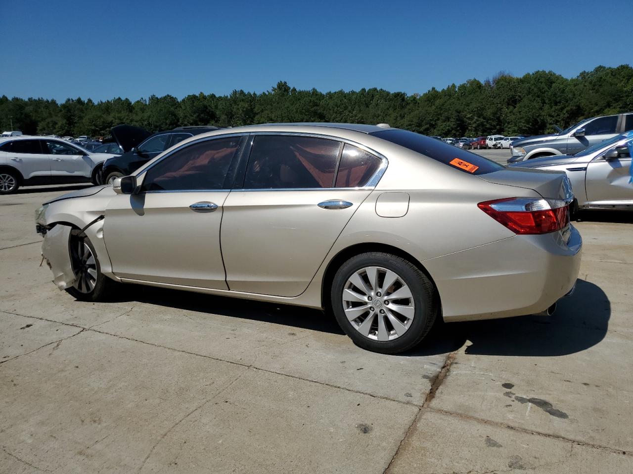 Lot #2918960559 2014 HONDA ACCORD EXL