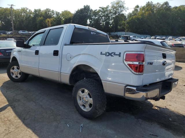 VIN 1FTFW1EF7DFC81521 2013 Ford F-150, Supercrew no.2