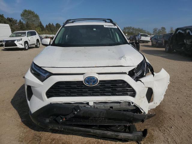 2024 TOYOTA RAV4 XLE - 4T3RWRFV0RU118314