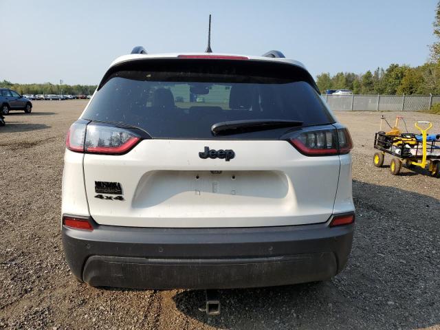 2023 JEEP CHEROKEE A 1C4PJMMB1PD103185