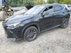 LEXUS NX 350 BAS снимка