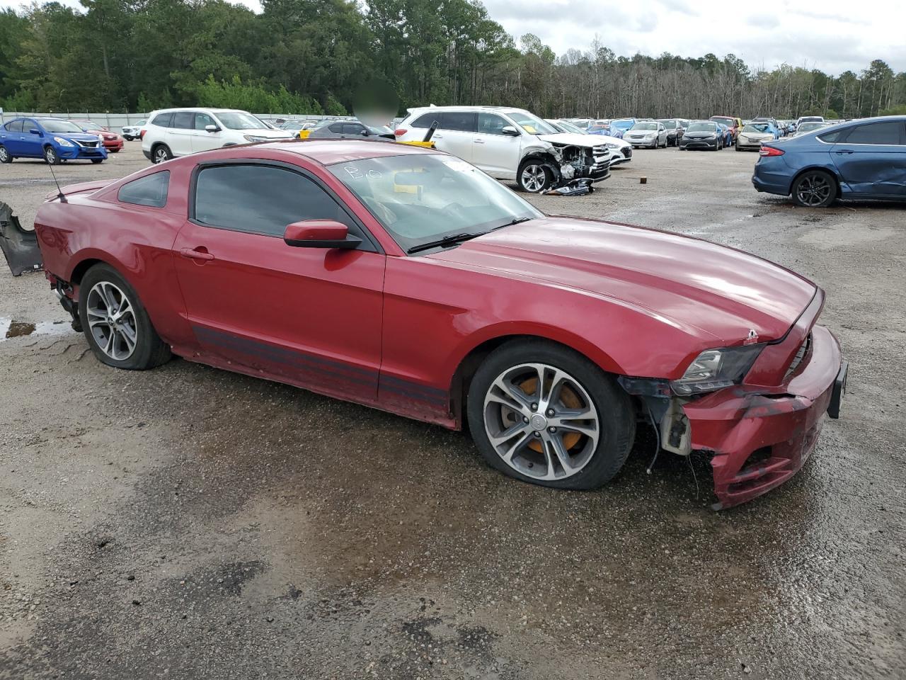 Lot #2974624471 2014 FORD MUSTANG