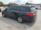 HONDA ODYSSEY EX photo