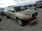 TOYOTA TACOMA ACC photo