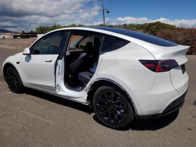 2023 TESLA MODEL Y - 7SAYGDEE5PF697853