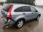 HONDA CR-V EX photo