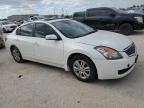 NISSAN ALTIMA BAS photo