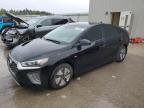 HYUNDAI IONIQ BLUE photo