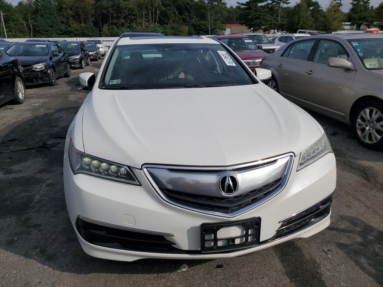 Lot #2960005346 2015 ACURA TLX TECH