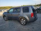 HONDA PILOT EXL photo