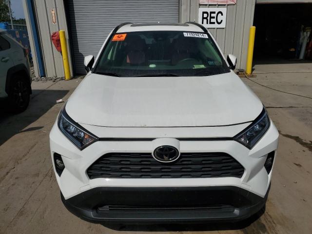 VIN JTMP1RFV2KD039851 2019 Toyota RAV4, Xle no.5