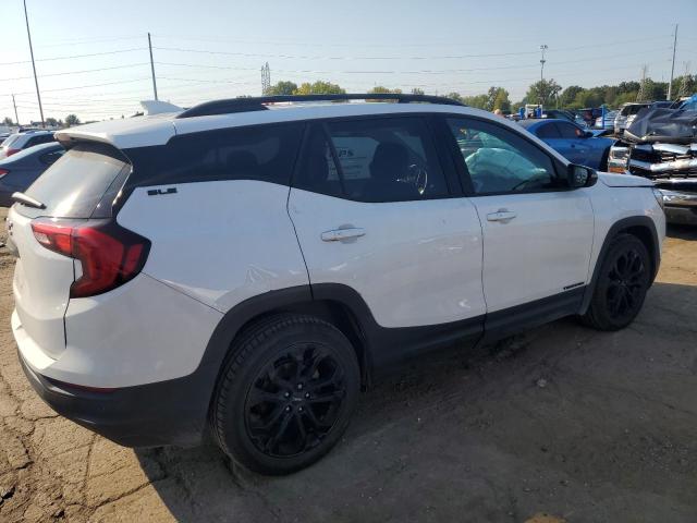 2019 GMC TERRAIN SL 3GKALMEV0KL355459  71524934