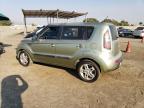 KIA SOUL + photo