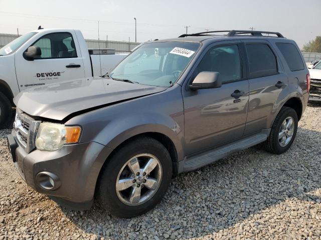 Vin: 1fmcu9dg9akd45980, lot: 69903044, ford escape xlt 2010 img_1