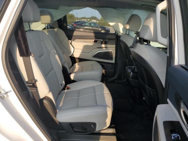2024 KIA TELLURIDE - 5XYP5DGC4RG507868