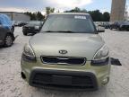 KIA SOUL + photo