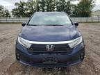 HONDA ODYSSEY EX photo