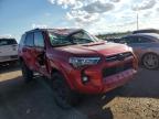 Lot #2957322432 2024 TOYOTA 4RUNNER SR