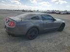 FORD MUSTANG photo