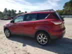 FORD ESCAPE SEL photo