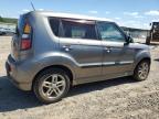 KIA SOUL + photo