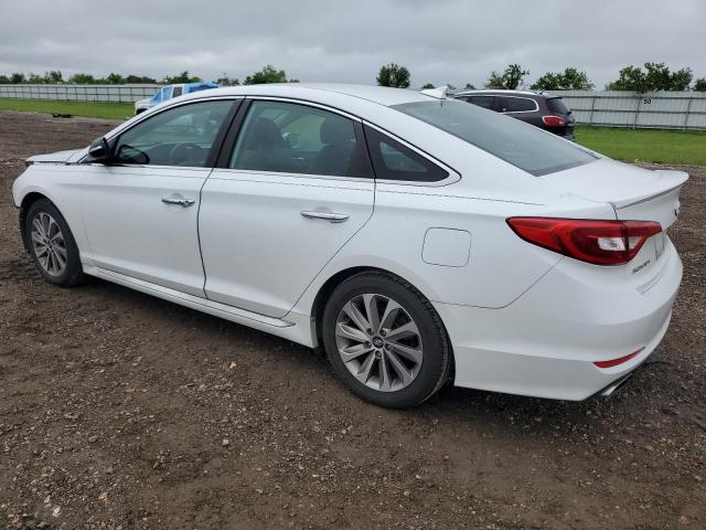 2015 HYUNDAI SONATA SPO - 5NPE34AF7FH228404
