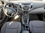 HYUNDAI ELANTRA SE photo