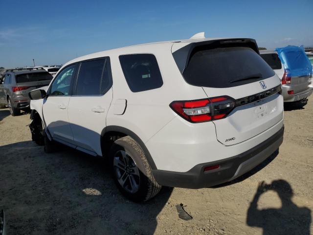 HONDA PILOT EXL 2024 white  gas 5FNYG1H41RB017772 photo #3