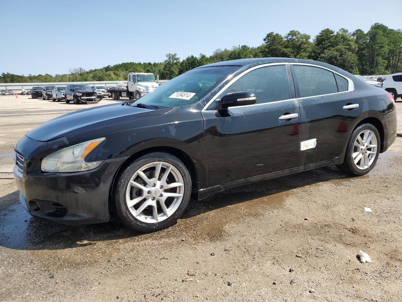 Lot #2893329707 2011 NISSAN MAXIMA S