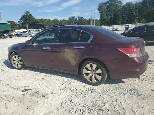 2010 HONDA ACCORD EX 5KBCP3F75AB002622  70075424