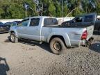 TOYOTA TACOMA DOU photo