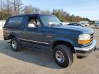 FORD BRONCO U10 photo