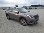 SUBARU FORESTER P photo