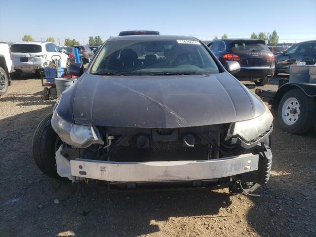 2009 ACURA TSX JH4CU26699C800122  71816514