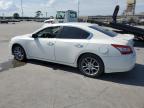 NISSAN MAXIMA S photo