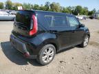 KIA SOUL + photo