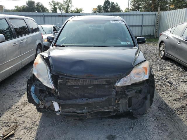 2010 HONDA CR-V EXL JHLRE4H71AC006085  71659544