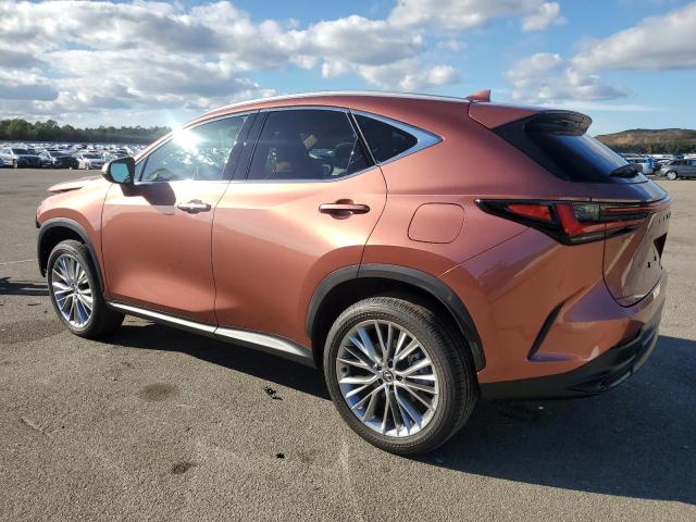 VIN 2T2GGCEZ7SC066651 2025 LEXUS NX 350 PRE no.2