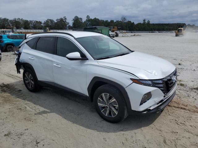 2024 HYUNDAI TUCSON BLU - KM8JBCD1XRU219181