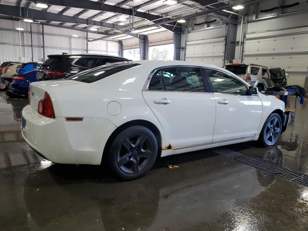 Lot #2905055182 2009 CHEVROLET MALIBU 1LT