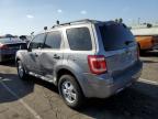 FORD ESCAPE XLT photo