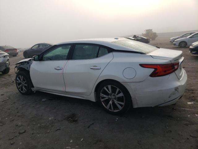 2017 NISSAN MAXIMA 3.5 - 1N4AA6AP7HC416157