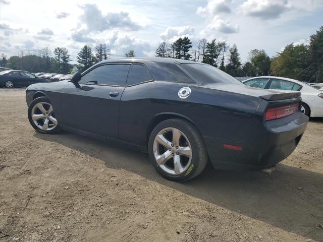 VIN 2C3CDYAG2DH674815 2013 Dodge Challenger, Sxt no.2