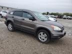 Lot #3024523349 2011 HONDA CR-V EX