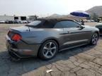 FORD MUSTANG photo